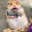 ≡≡≡菜逼分割线≡≡≡