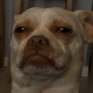 你似晚霞愈晚愈浓