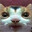Gato enjoyer