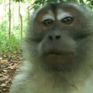 мятный шампунь