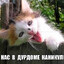 Тайно дернул