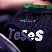 TeSeS