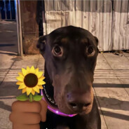 性感六旬荷官老太