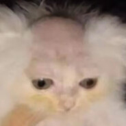 二哥突击队-鸿运当头666