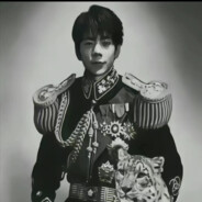 理塘の绝讻猛虎