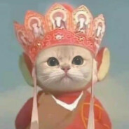 轻拢慢捻抹复挑