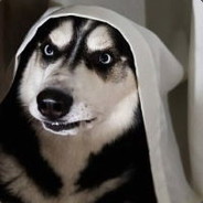 我有被动我不怕的