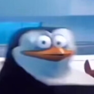 Skipper avatar
