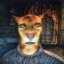 Skooma