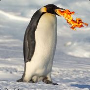 CoolestPenguin