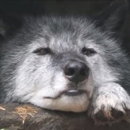 奶盖男孩张屁屁