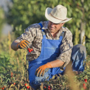 Johnny Ass-gape
