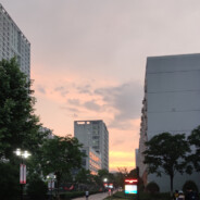 thePlaceWhereHeInsertedTheBlade