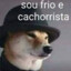 frio e cachorrista