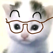 毛球看着不像好人