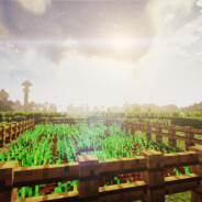 所以先动情的是输家