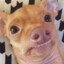 PoopHands