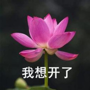 T-T吞吞吞大吞吞