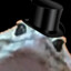 Slurp