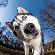 AAA建材批发韩总