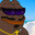 dibble_