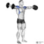 dumbbell lateral raises