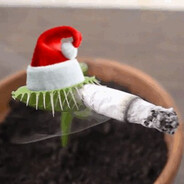 гос. адвокат