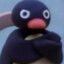 Master pingu