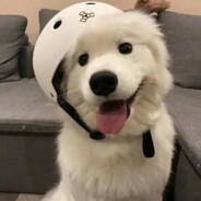 AAA普通豹纹阿姨