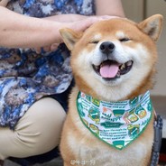 宝芝林大药房前台