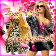 Roaring Kitty :з Steam avatar