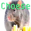 Choese♿