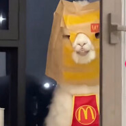 Mcdonalds Employee #1