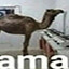 JAMAL