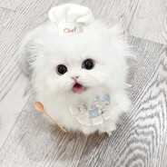 宝宝租号不摆烂100±