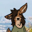 River's avatar