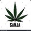 IDK /!/ Ganja ИДК