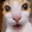 ApparentlyKat