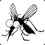 Noca_canO