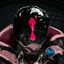 alx