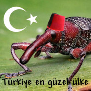 Türk zıbşön