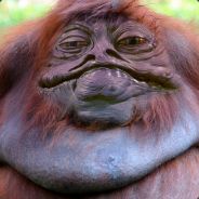 Theo_da_game_changer