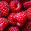 Raspberry