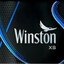WinstonXs
