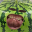 Ponii98