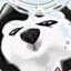 无人的岛