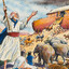 Noah