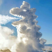 息洛 既见息洛 为何不buy