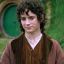 Frodo Fraggins
