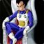 The saiyen prince